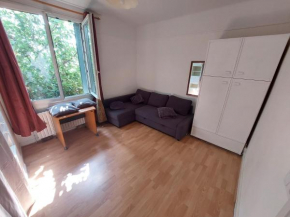 Chambre avec 1 lits et 1 canapé convertible, salle de bain et cuisine communes